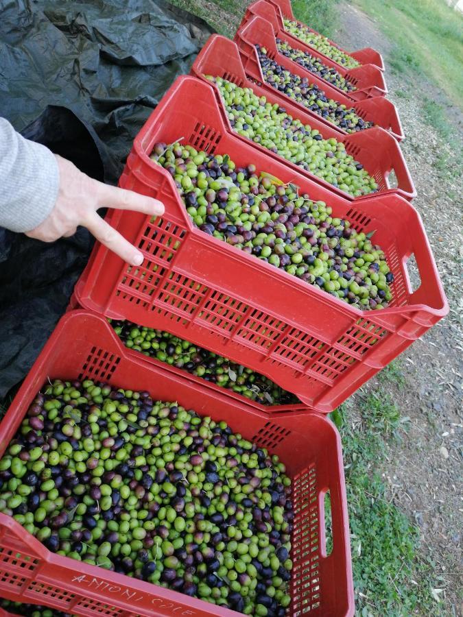 Il Podere Di Sole 로까스트라다 외부 사진