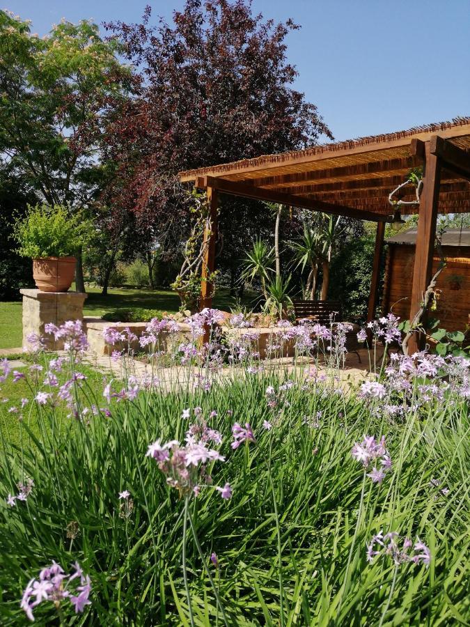 Il Podere Di Sole 로까스트라다 외부 사진